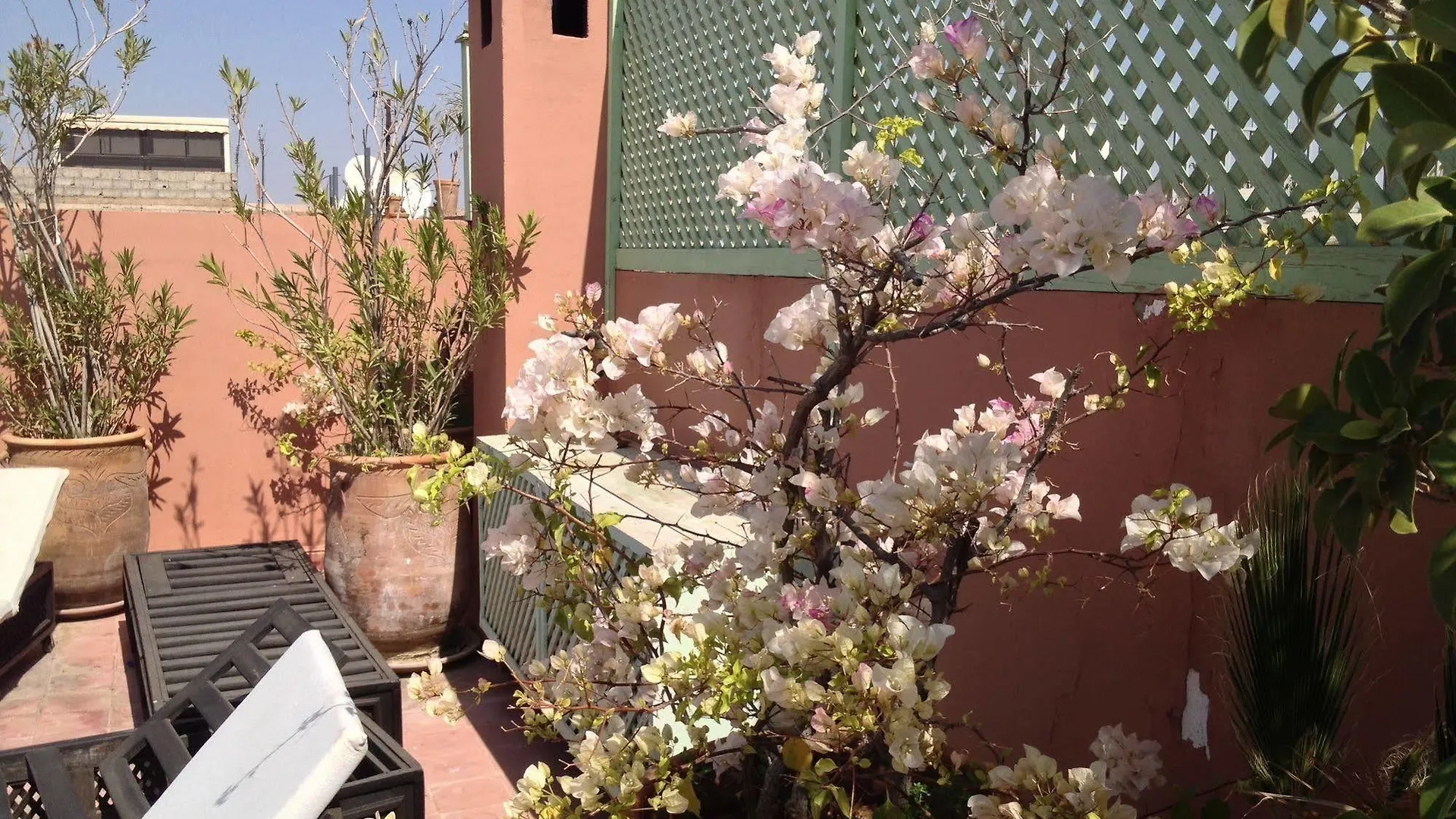 מרקש Riad Mariana